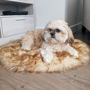 Natural Or Coloured Oval Genuine Sheepskin Comforter Pads For Seats, Pet Beds Rug Perfect for Cats and Small Dogs