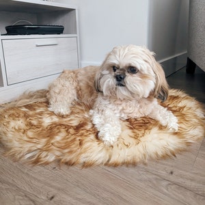 Dog lying on sheepskin mat bed