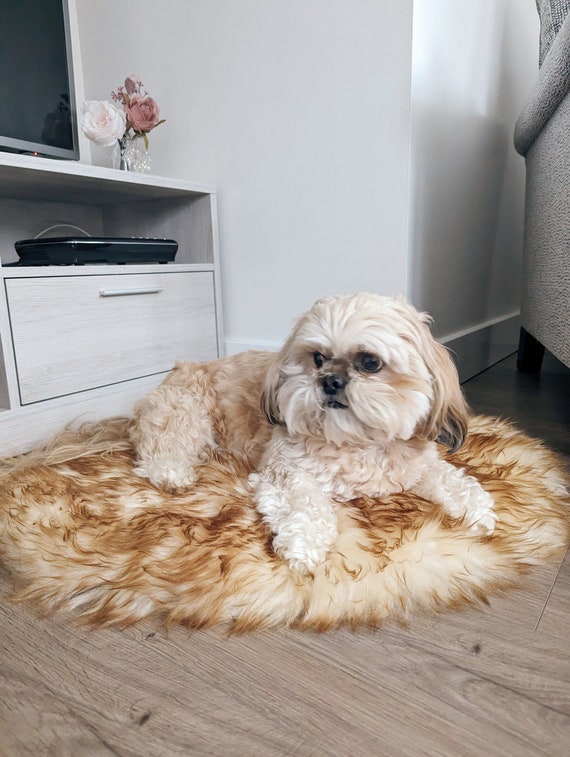 Oval Sheepskin Pet Bed Rug, Natural or Colored Comforter Pad