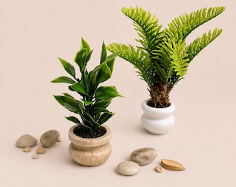 Dollhouse miniature cocos palm tree and deciduous plant  for 1/12, 1/6 size dolls. Miniature greenery, garden plant in a wooden pot.