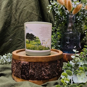 Luxury Irish Candle Dungarvan // Oakmoss & Cedarwood image 5