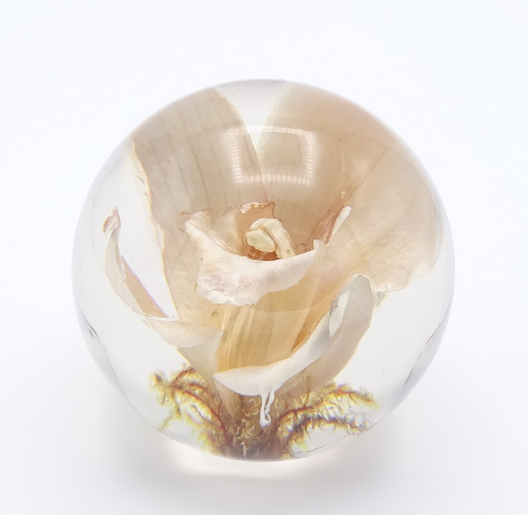 Vintage Welsh Hafod Grange Resin Lily Paperweight 1999 Etsy