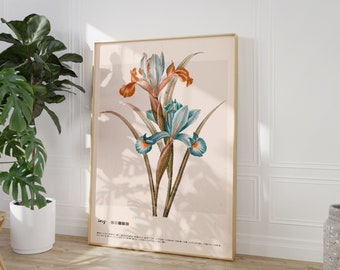 Vintage botanischer Druck, Iris Print, blaue botanische Wandkunst, digitaler Download, große druckbare Kunst, Cottage Core Decor, Bauernhaus Druck