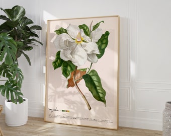 vintage Botanical Print, Magnolia Print, Digital Download, Large Printable Art, Antique Wall Art, Botanical Art, Kitchen Art, vintage Poster