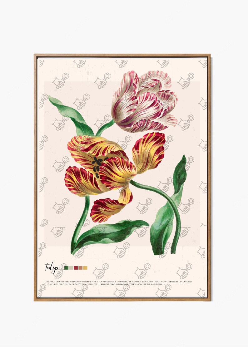 Vintage Botanical Print, Tulip Print, Botanical Illustration, Farmhouse Decor, Cottage Core Decor, Digital Download, Large Printable Art image 3