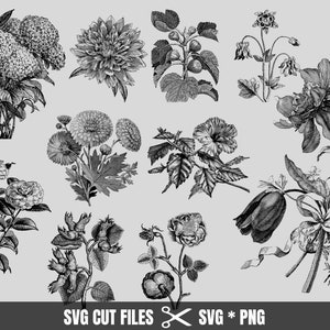 Flower Svg Bundle, Wildflower Png Bundle, Floral Svg, Flower svg / floral svg / botanical svg / flower clipart / Descarga instantánea