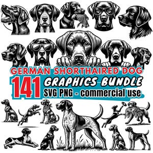 May include: A collection of 141 black and white vector illustrations of German Shorthaired Pointers in various poses. The illustrations are perfect for creating digital designs, crafts, and other projects. The text "German Shorthaired Dog 141 Graphics Bundle SVG PNG - commercial use" is displayed at the bottom of the image.