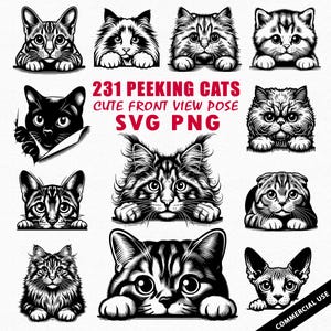 231 Peeking Cats svg, Cute cat  front view pose svg, Cat Lover Digital Cut File for Cricut, cat designs SVG, PNG, Instant download