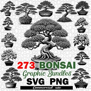 Bonsai Graphic Bundles svg, png, Bonsai Tree for cricut shirt, silhouette Bonsai graphics, Vector cut files