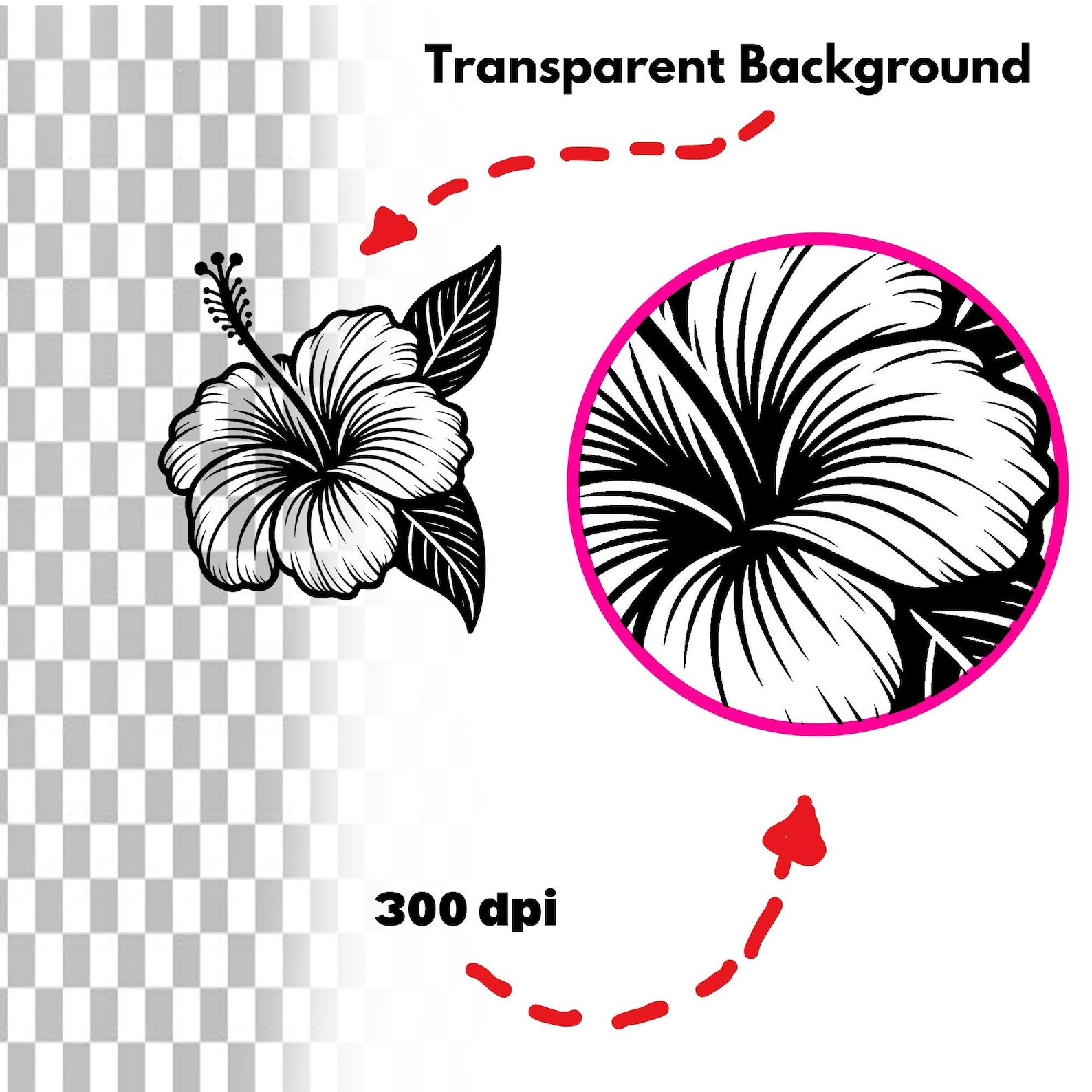 Hibiscus Flowers SVG Bundle, Tropical Floral PNG DXF, Cricut Cut Files ...