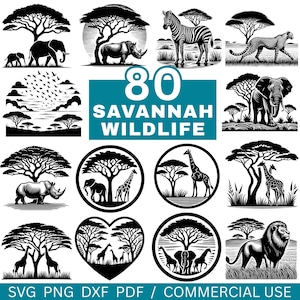 Könnte beinhalten: Schwarz-Weiß-Illustrationen von Savannenwildtieren, darunter Elefanten, Giraffen, Zebras und Nashörner, mit Akazienbäumen. Der Text "80 SAVANNAH WILDLIFE" wird auf türkisfarbenem Hintergrund angezeigt. Der untere Teil des Bildes enthält den Text "SVG PNG DXF PDF / COMMERCIAL USE."