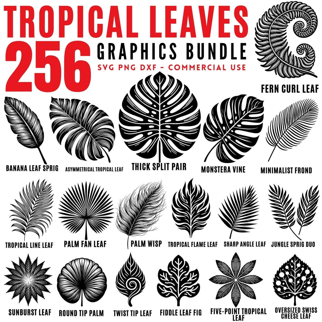 Tropical Leaf SVG Bundle , Monstera Palm Fern Cut Files , PNG DXF for ...