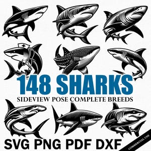 148 Shark SVG Bundle | Ocean Animal Clipart | Shark Silhouette Cut File for Cricut & Silhouette Instant download