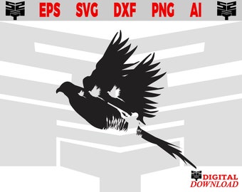 Pheasant hunting svg, Pheasant clip art, Pheasant svg