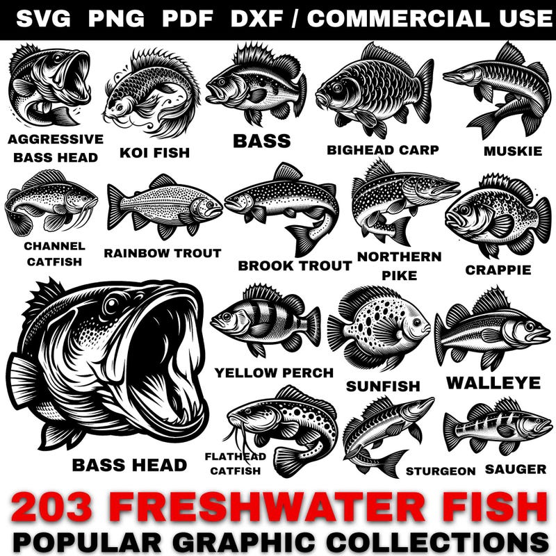 Freshwater Fish Svg Files - Etsy