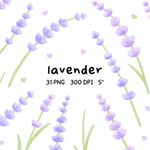 Ilustración de lavanda, arreglo floral de lavanda, flores moradas, flores violetas, azul, flores, morado pastel, campo de lavanda, primavera