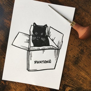 Linoryt Pantoné Cat
