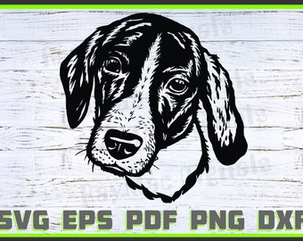 Coonhound Cross Dog, Svg, Dxf, Png, Dog Lover, Dog Shirt Eps, Animal, Dog Head svg, Cut Ready, Portrait, Purebred Pdf Silhouette, Cricut