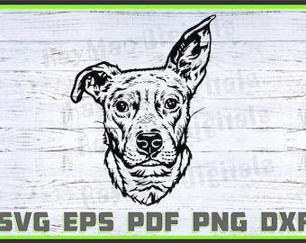 Beagle-Bull-Cross Dog, Svg, Dxf, Png, Dog Lover, Dog Shirt Eps, Animal, Dog Head svg, Cut Ready, Portrait, Purebred Pdf Silhouette, Cricut