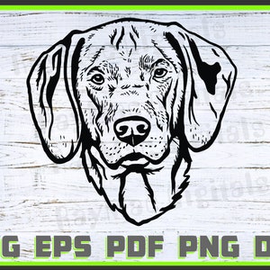 Wirehaired-Vizsla Dog Svg, Dxf, Png, Dog Lover Svg, Dog Shirt Eps, Animal, Shirt, Dog Head svg, Cut Ready, Portrait, Purebred pdf, Silhouette