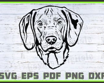 Wirehaired-Vizsla Dog Svg, Dxf, Png, Dog Lover Svg, Dog Shirt Eps, Animal,Shirt, Dog Head svg, Cut Ready, Portrait, Purebred Pdf, Silhouette