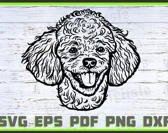 Cane barboncino, Svg, Dxf, Png, Dog Lover Svg, Dog Shirt Eps, Animal, Dog Head svg, Cut Ready, Ritratto, Purebred Pdf Silhouette, Cricut