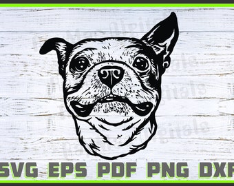 Boston-Terrier Svg, Dog Dxf, Png, Dog Lover Svg, Dog Shirt Eps, Animal, Dog Head svg, Cut Ready, Portrait, Purebred Pdf Silhouette, Cricut
