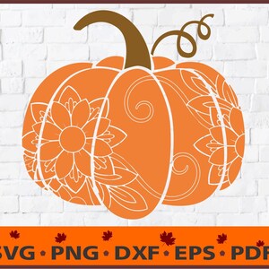 Op de afbeelding: Een oranje pompoen met een wit mandala-ontwerp. De pompoen heeft een bruine steel en een gekrulde rank.