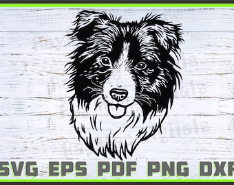 Border Collie Svg, Dog Dxf, Png, Dog Lover Svg, Dog Shirt Eps, Animal, Dog Head svg, Cut Ready, Portrait, Purebred Pdf Silhouette, Cricut