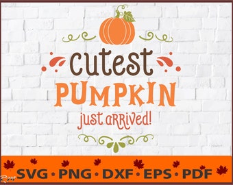 Cutest Pumpkin just arrived Svg, Fall svg, Halloween svg, Quotes, Sayings, Cricut Cut File, Silhouette Cut File