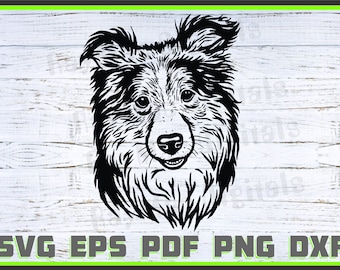 Collie Svg, Dog Dxf, Png, Dog Lover Svg, Dog Shirt Eps, Animal, Dog Head svg, Cut Ready, Portrait, Purebred Pdf Silhouette, Cricut File