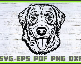 Labrador-Retriever Dog, Svg, Dxf, Png, Dog Lover, Dog Shirt Eps, Animal, Dog Head svg, Cut Ready, Portrait, Purebred Pdf Silhouette, Cricut