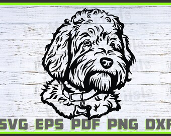 Golden Doodle Dog Svg, Dxf, Png, Dog Lover Svg, Dog Shirt Eps, Animal, Shirt, Dog Head svg, Cut Ready, Portrait, Purebred Pdf