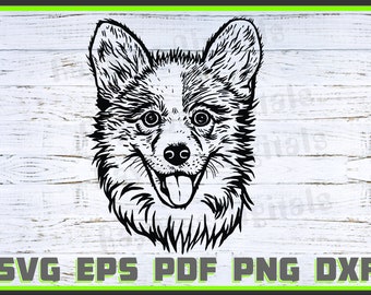 Cardigan-Welsh-Corgi Dog Svg, Dxf, Png, Dog Lover Svg, Dog Shirt Eps, Animal, Shirt, Dog Head svg, Cut Ready, Portrait, Purebred Pdf