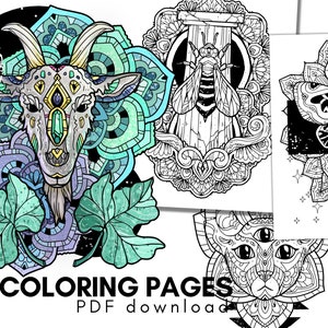 Mythical Nature Printable Coloring Pages for Adults | PDF | Instant Download | Fantasy | Mandala | Relaxing Mythographic Coloring Therapy