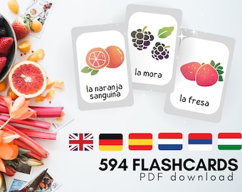 Flashcards d'apprentissage des langues anglais, espagnol, allemand, néerlandais, serbe, hongrois | PDF Cartes Montessori en 3 parties | Téléchargement numérique de vocabulaire