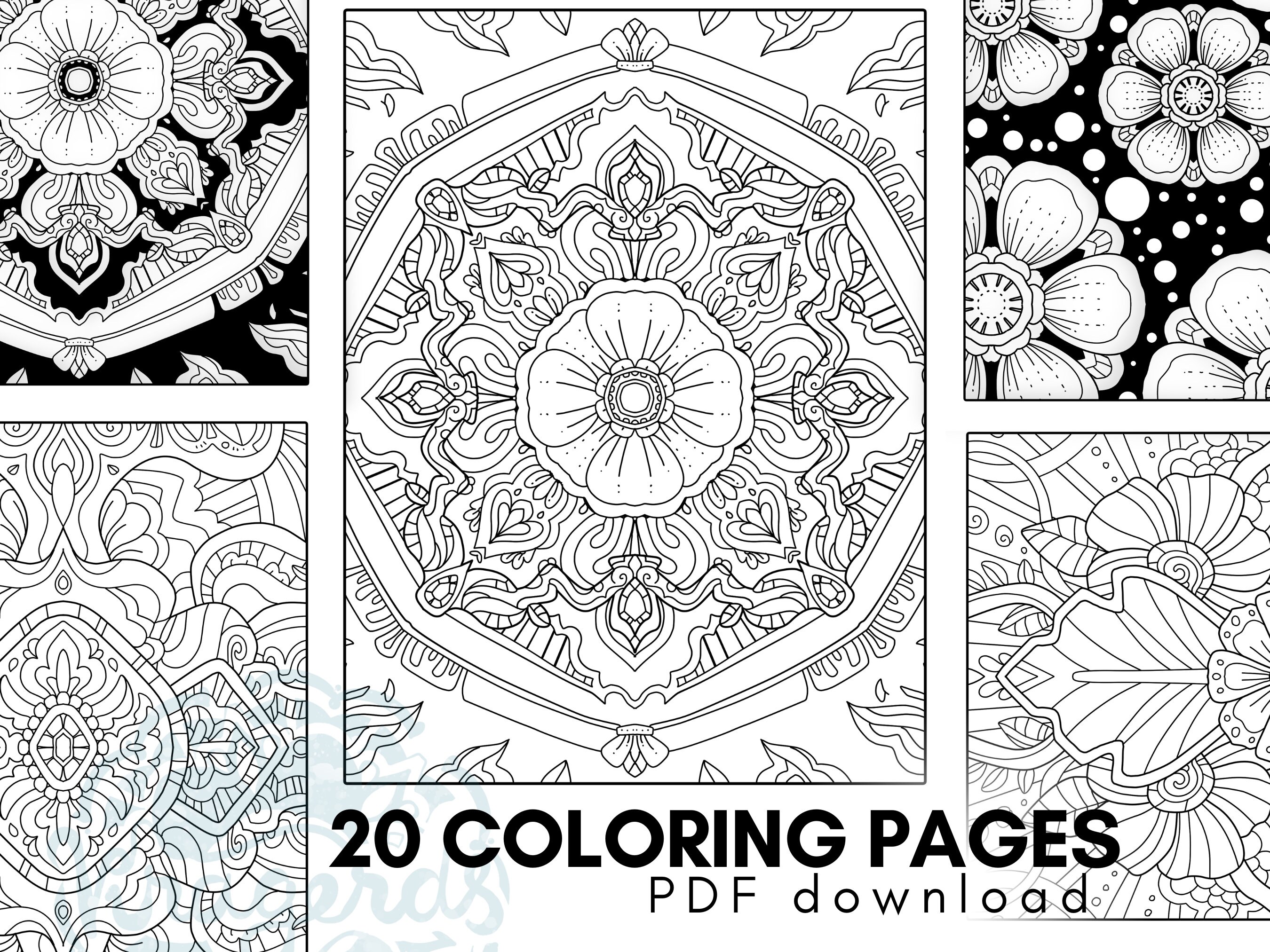 Magnificent Patterns Adult Coloring Pages | PDF | Digital File Coloring ...