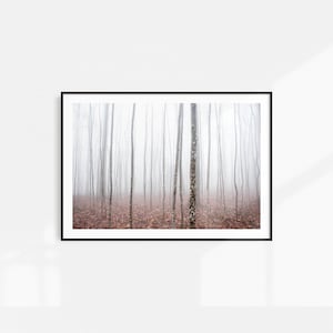 Forest Wall Art, Forest Print, Woodland Trees Forest, Mist Forest, Printable Wilderness Art Landscape Prints