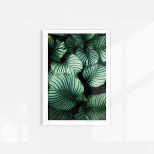Tropical Wall Art, Green Leaf Print, Leaf Poster, Tropical Leaves Decor, Wall Art Decor, Wall Art Print