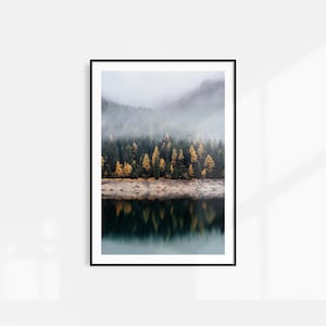 Forest Wall Art, Forest Print, Woodland Trees Forest, Mist Forest, Printable Wilderness Art Landscape Prints