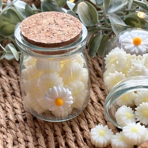 May include: A glass jar with a cork lid, filled with white daisy-shaped wax melts. A single daisy wax melt with a yellow centre is on the outside of the jar. Other jars and daisy melts are in the background.