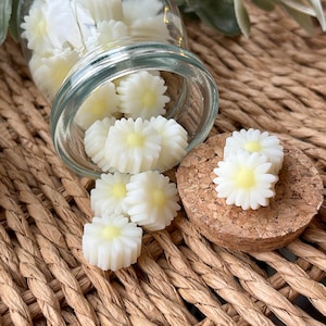 May include: A glass jar, tipped over, contains daisy-shaped wax melts. The white melts with yellow centres are scattered on a woven surface and a cork coaster. The theme is home fragrance.