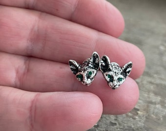 heartworm flea tick medication