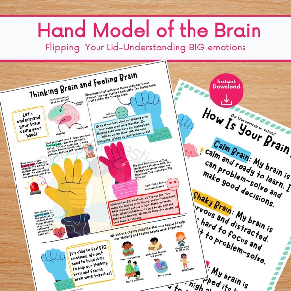 Emotional Regulation Brain Poster, Flip Your Lid Hand Model of Brain for Understanding Emotions, School Counselor Resource