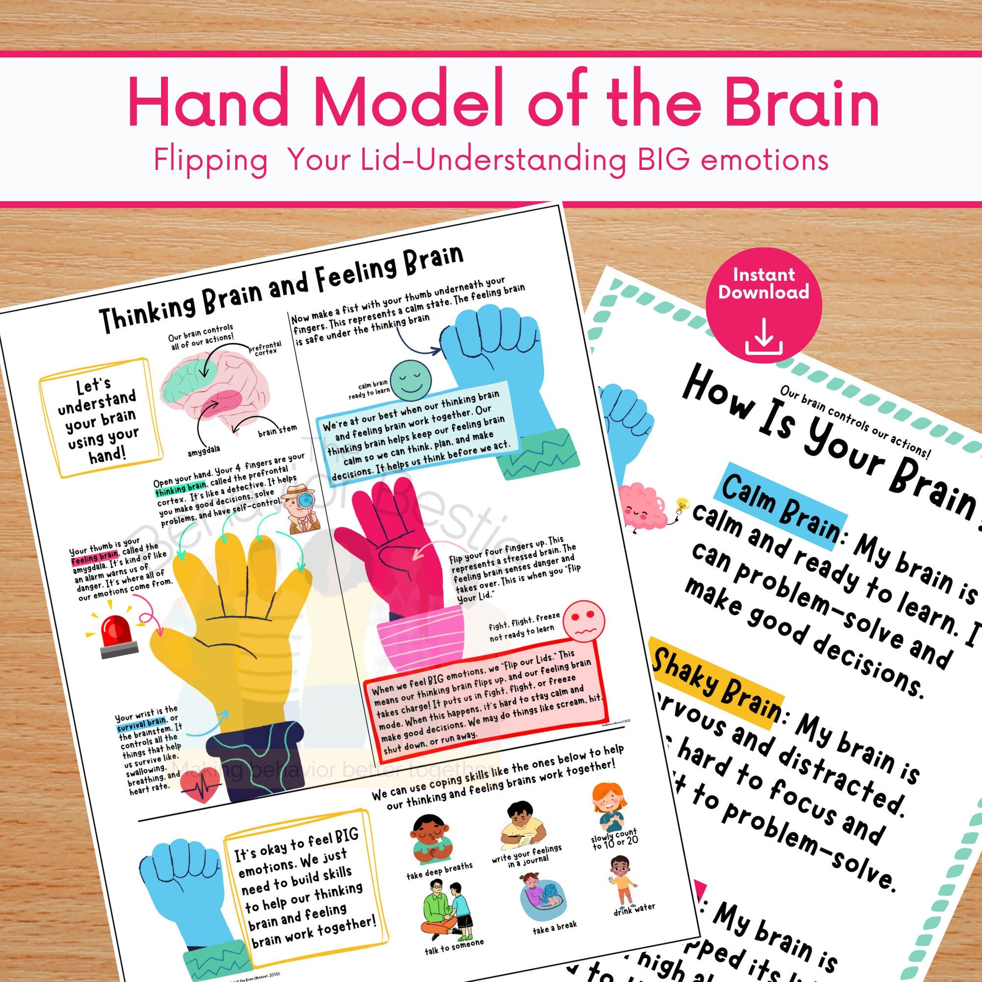 Emotional Regulation Brain Poster, Flip Your Lid Hand Model of Brain