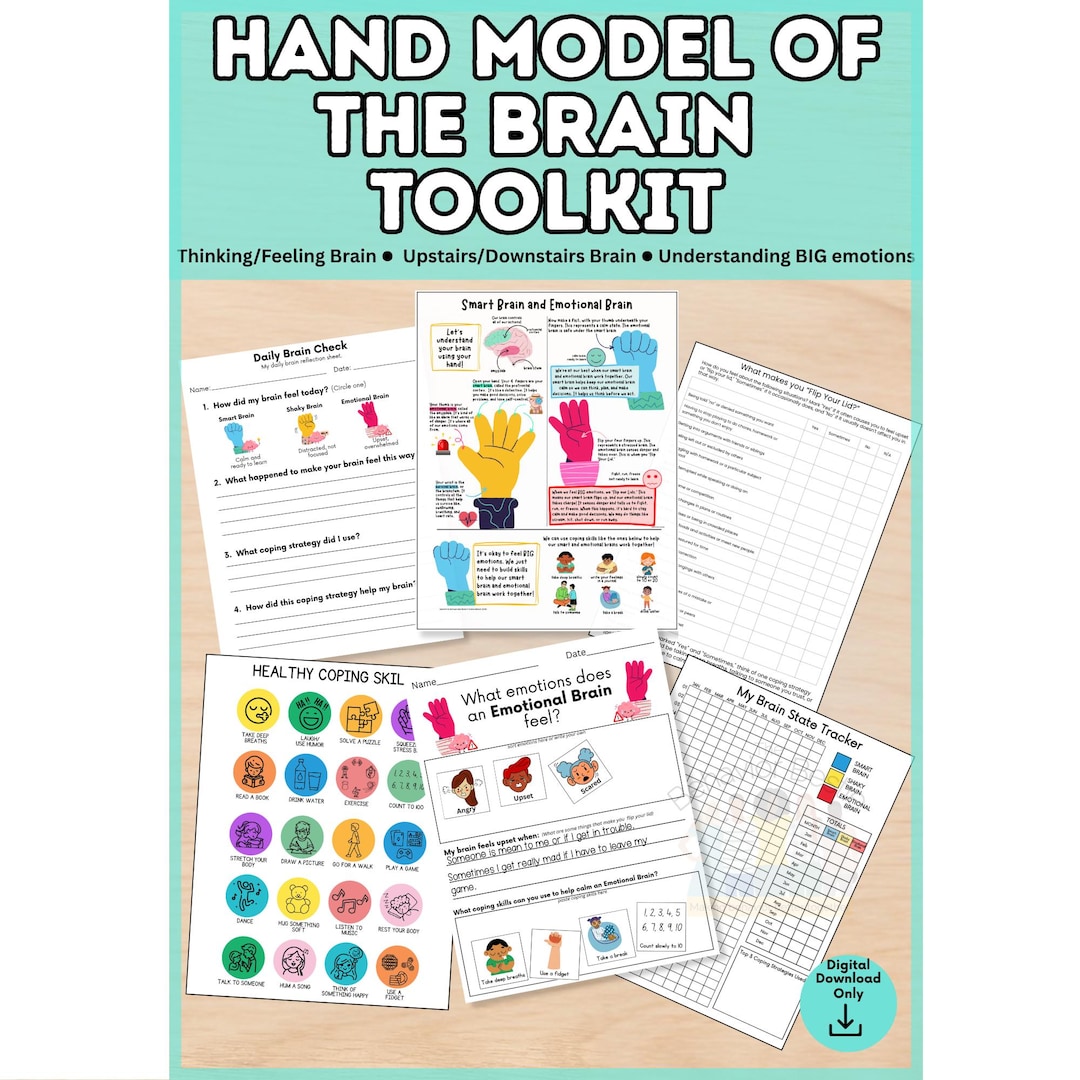 Hand Model of the Brain Posters, Activities, and Worksheets | Kids ...