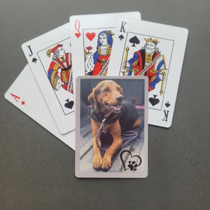 Custom Playing Cards Featuring the Name LOUIS in Actual Sign 