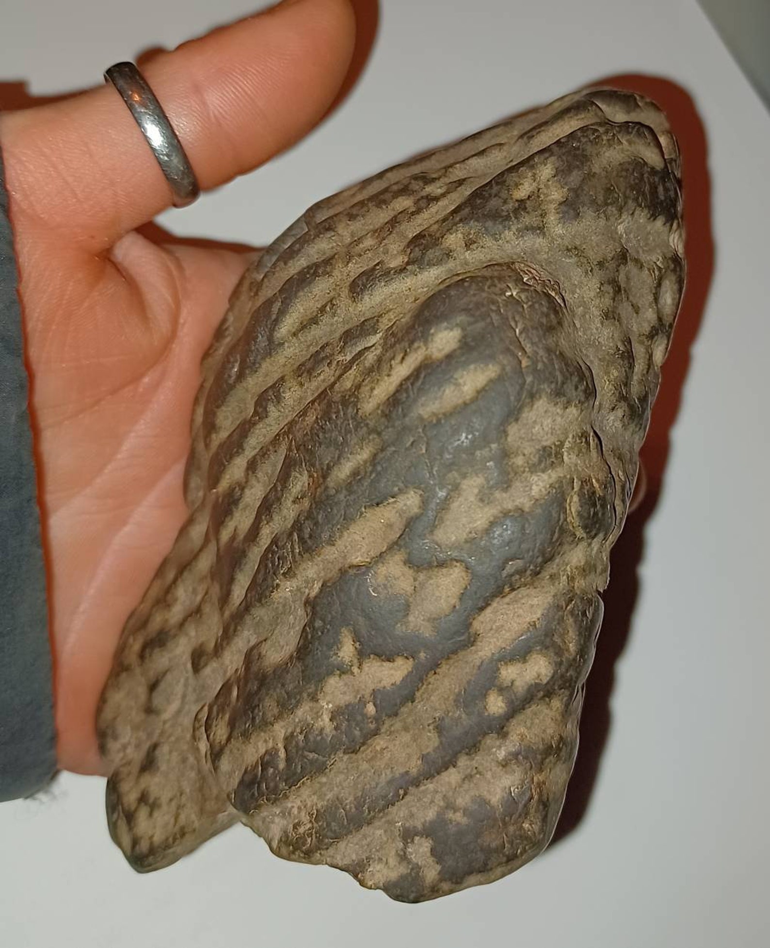 Rare Artifacts:  The Most Intriguing Paleo Native American Stone Axes - 9f9qfvv