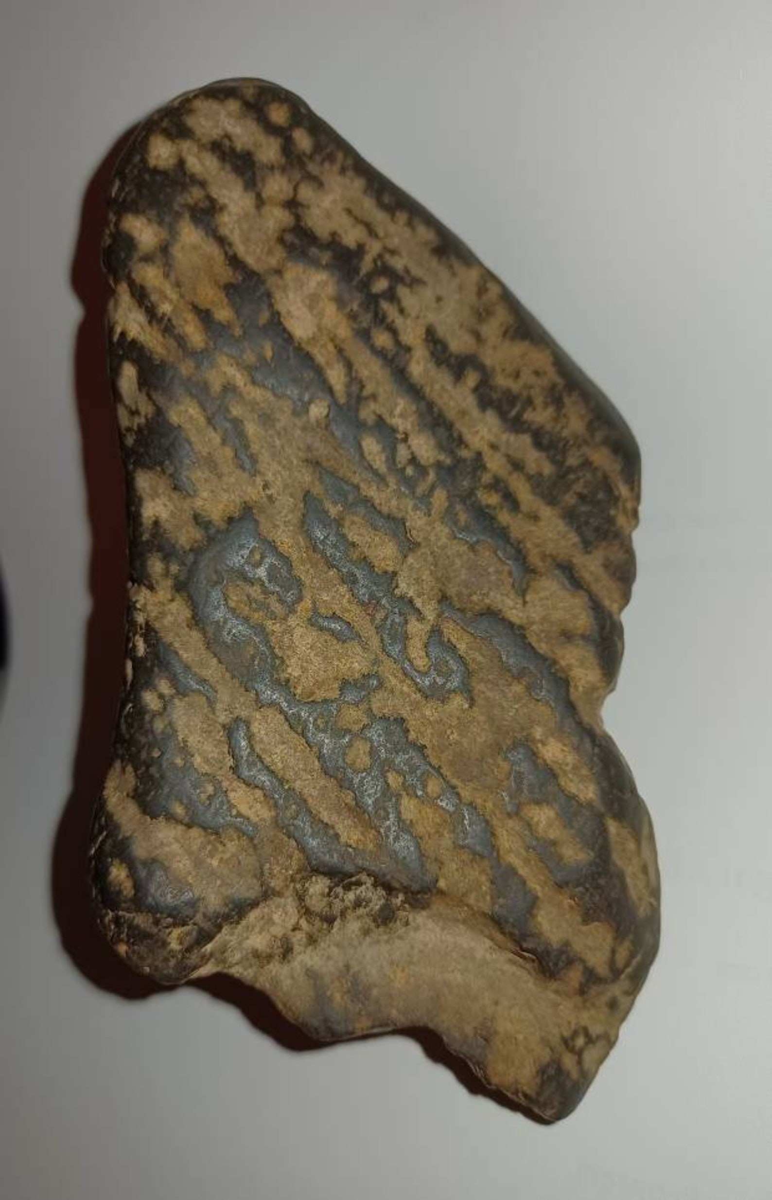 Rare Artifacts:  The Most Intriguing Paleo Native American Stone Axes - 01kqpu9