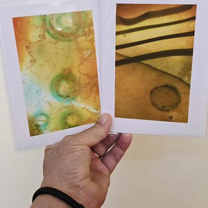 Cartes de voeux, cartes de correspondance, gros plan, macro, abstraction, art abstrait, verre, plumes, ailes de papillon, rochers, plantes,